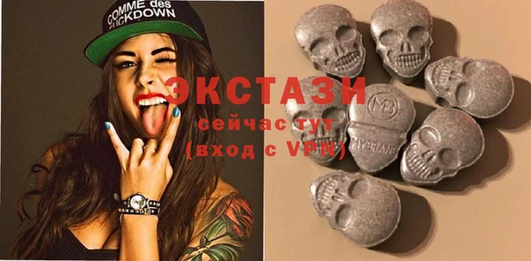 ECSTASY Богородицк